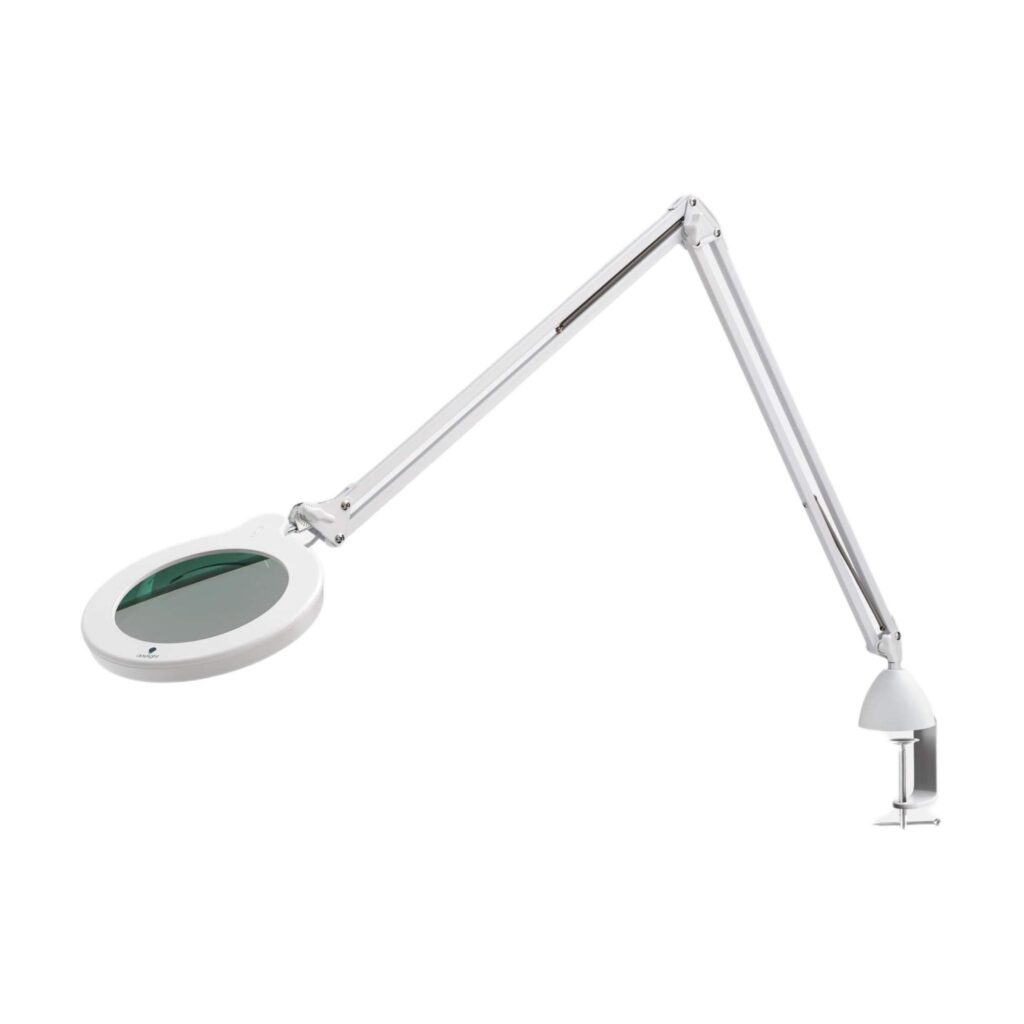 Lampa lupa Berchtold