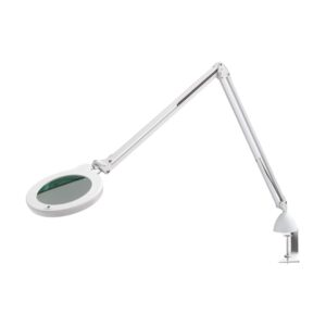 Lampa lupa Berchtold